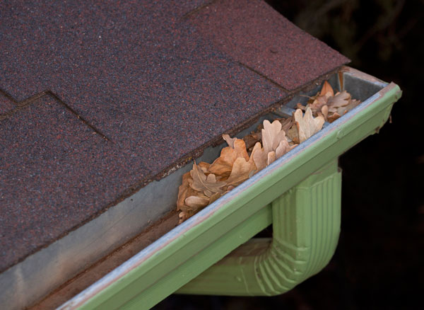 Gutter Cleaning and Repairs